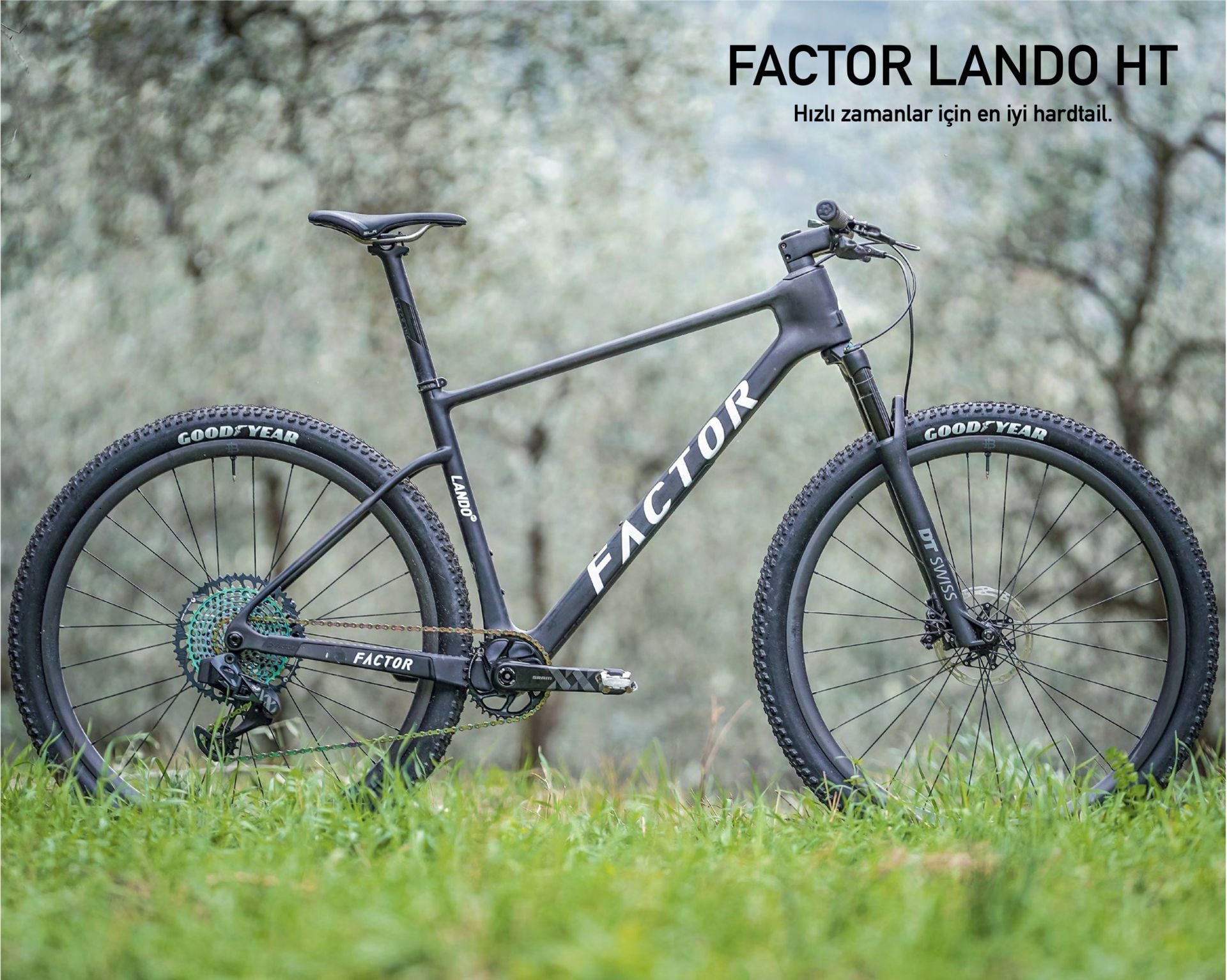 FACTOR LANDO HT